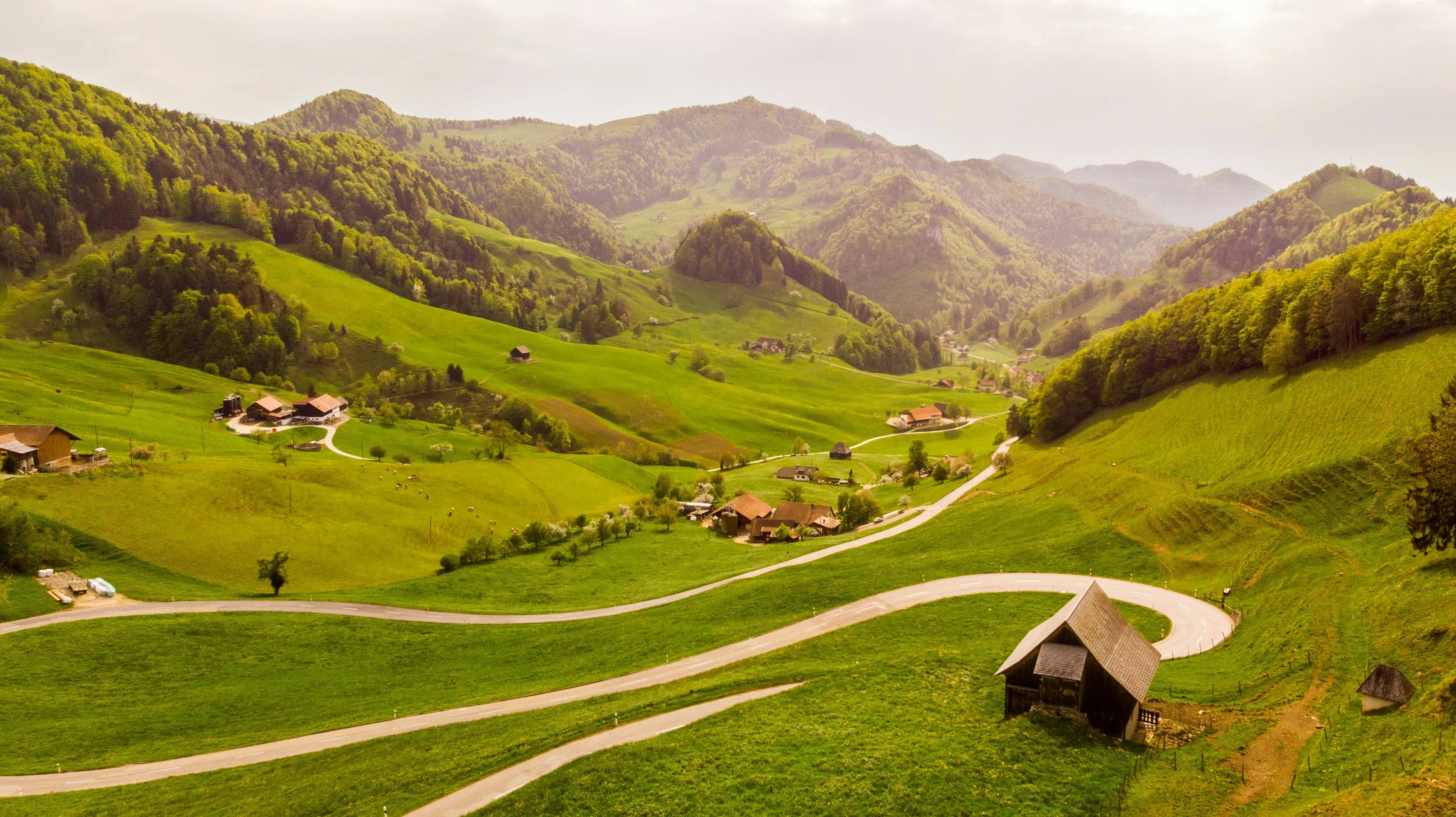 Suisse